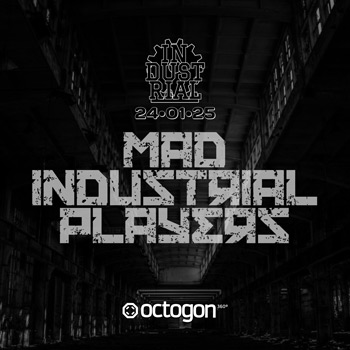 24 ENERO industrial mad en octogon 360